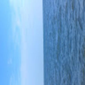 Meet your Posher, Damion